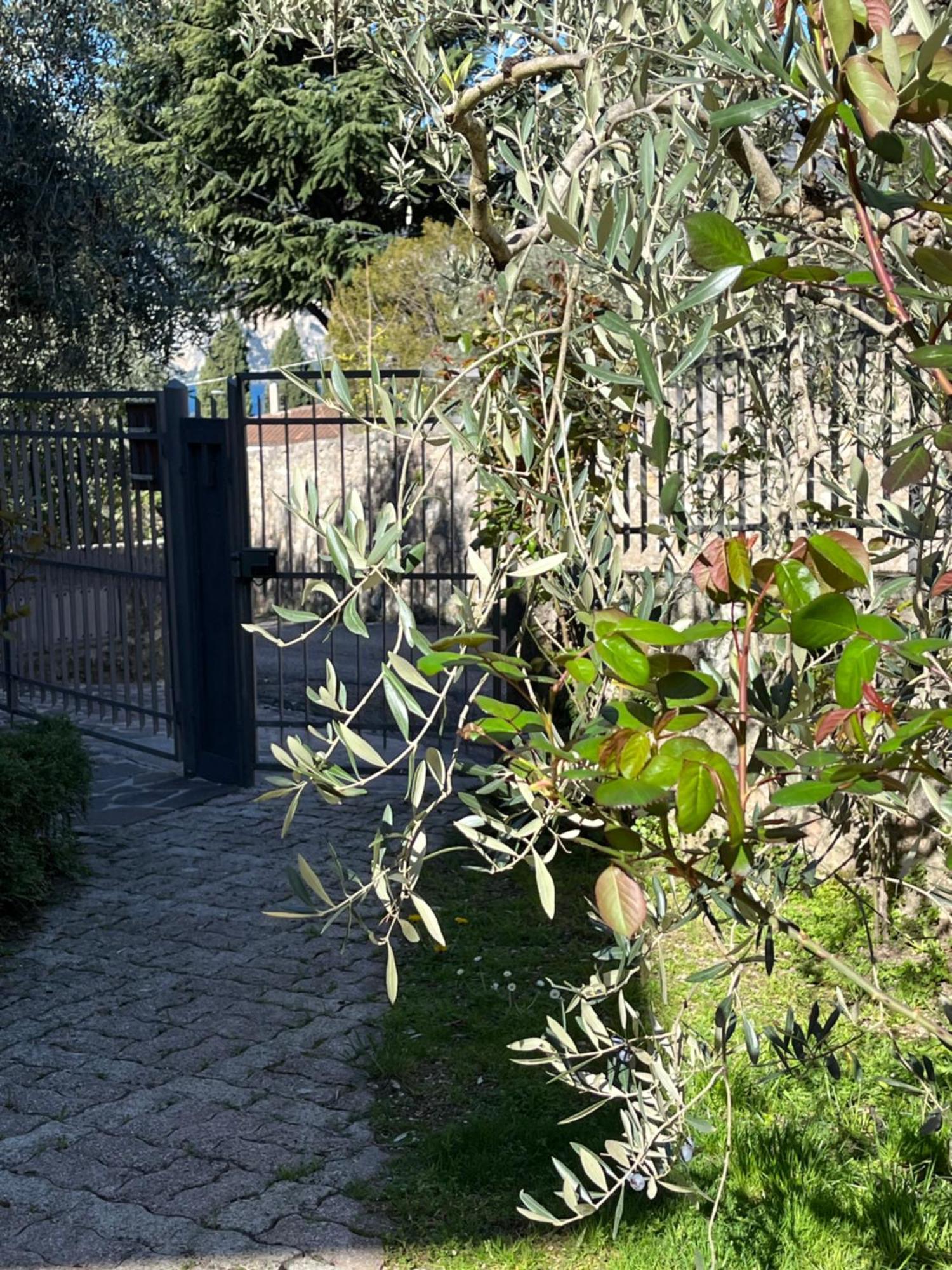 Casa Noario Διαμέρισμα Μαλτσεζίνε Εξωτερικό φωτογραφία